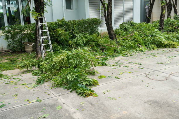 Mulching Services in Oakland, CA